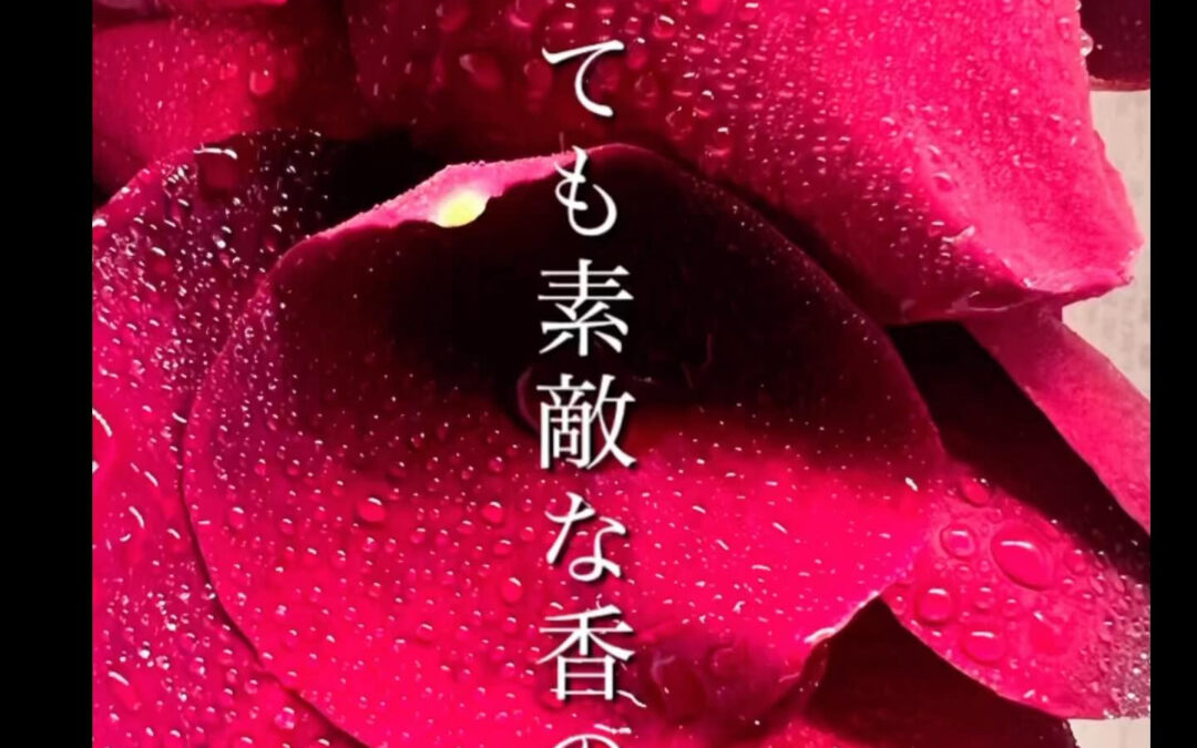 赤い食材