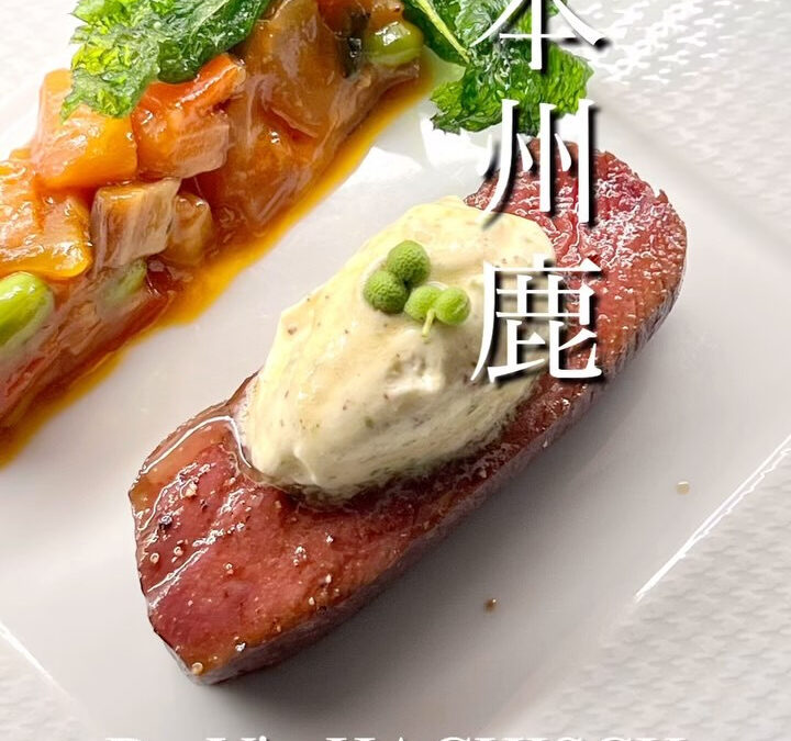 暖かく天候も良いと港のお散歩が楽しいですね　週末土曜日以外は